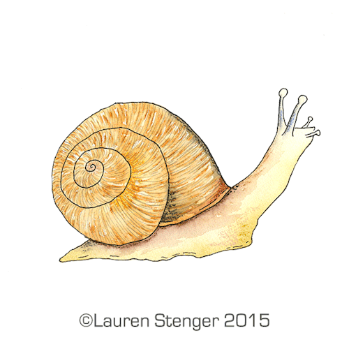 500x500 Snails Are Eating My Plants So I Made A Little Watercolor An