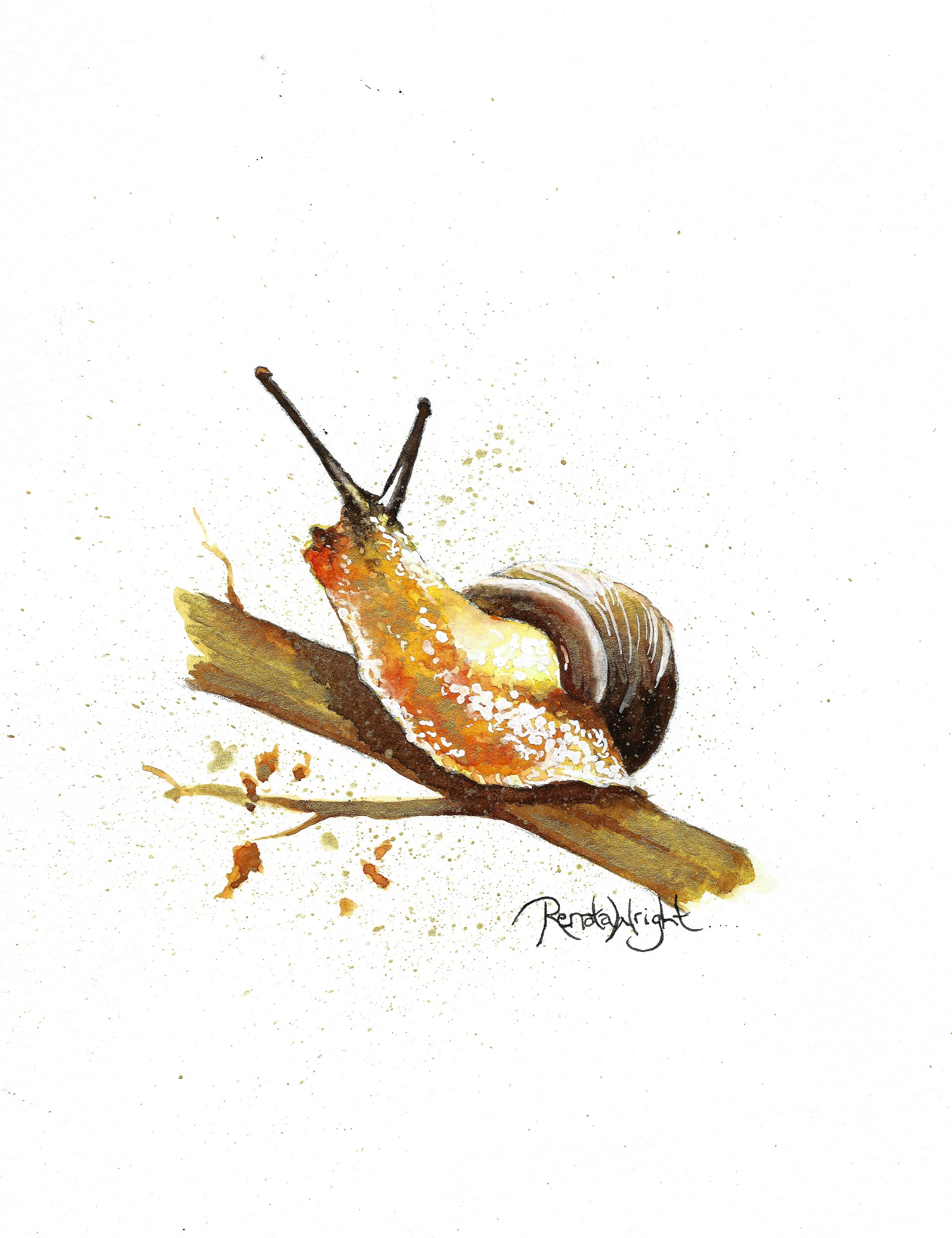 1954x2541 Amadeus The Golden Snail