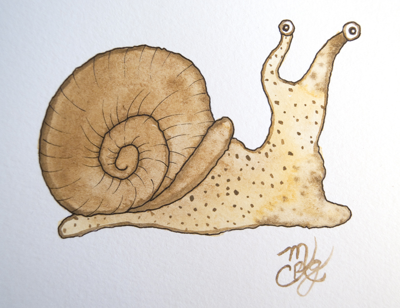800x615 Watercolor Snail Illustration Tutorial
