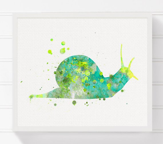 570x503 Watercolor Snail Snail Art Print Kids Room Decor Nursery Etsy