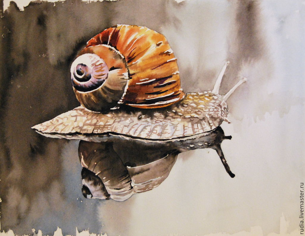 1024x791 Watercolor The Snail And Its Reflection. Watercolor Painting