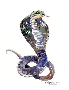 Watercolor Snake