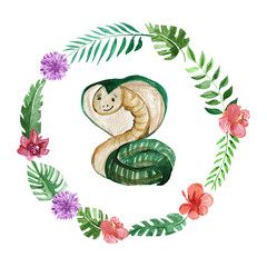 240x240 Search Photos Watercolor Snake