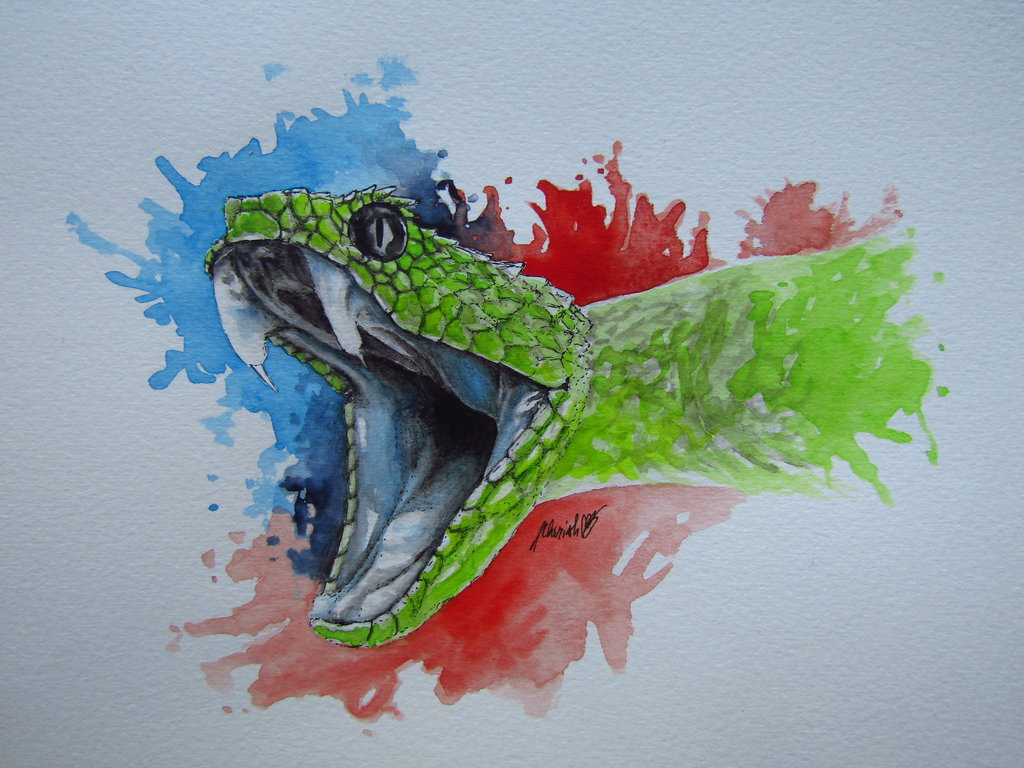 1024x768 Watercolour Snake By Cherishart