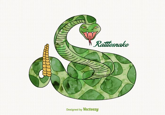 700x490 Free Vector Watercolor Rattlesnake