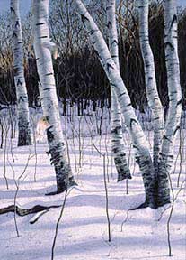 207x288 Painting The Flow, Color And Rhythm Of Water By William H. Hays