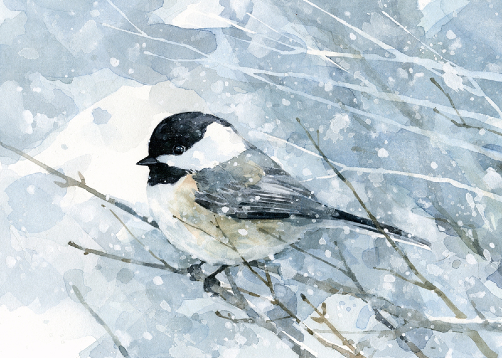 1600x1142 Chickadee In Snow Watercolor Winter Christmas Card Set David
