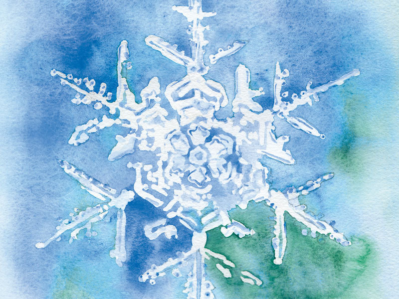 800x600 Snowflake Watercolor Painting Christmas Cards Set By Susanwindsor