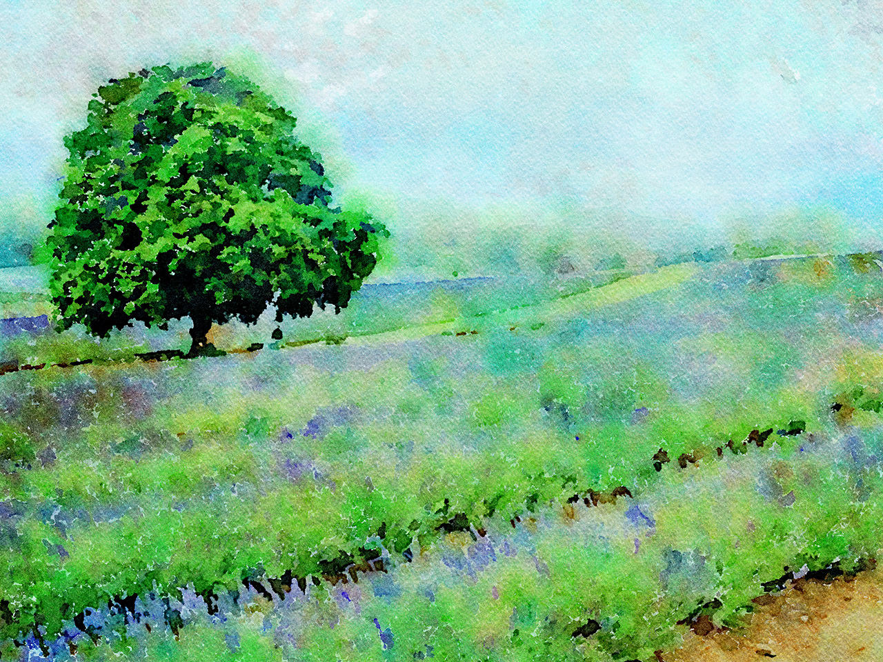 1280x960 Watercolor Studio