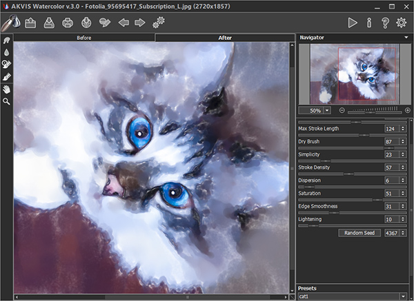 600x437 Akvis Watercolor Program Screenshots