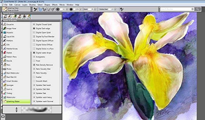 679x399 Corel Painter X3 (Old Version) Software