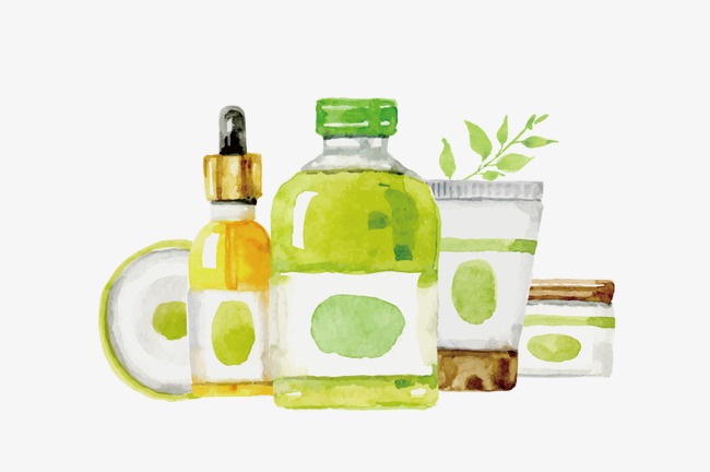 650x432 Vector Drawing Skincare Spa, Vector, Green, Watercolor Png And