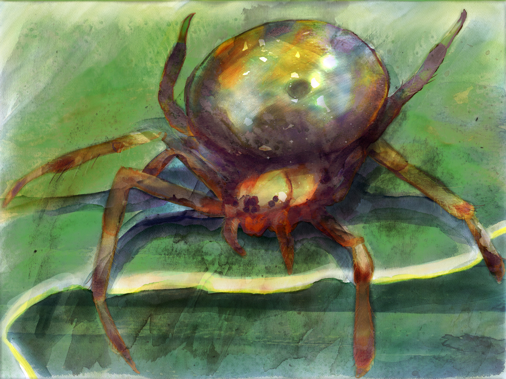 1920x1440 Ashley Coulter