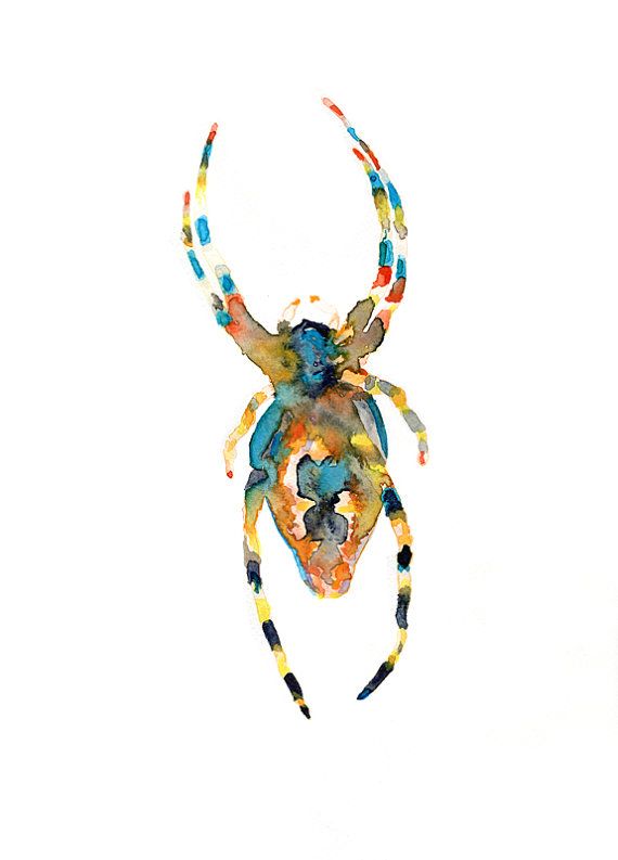 570x793 Spider Original Watercolor Painting Insect Wild By Lespetitesbetes