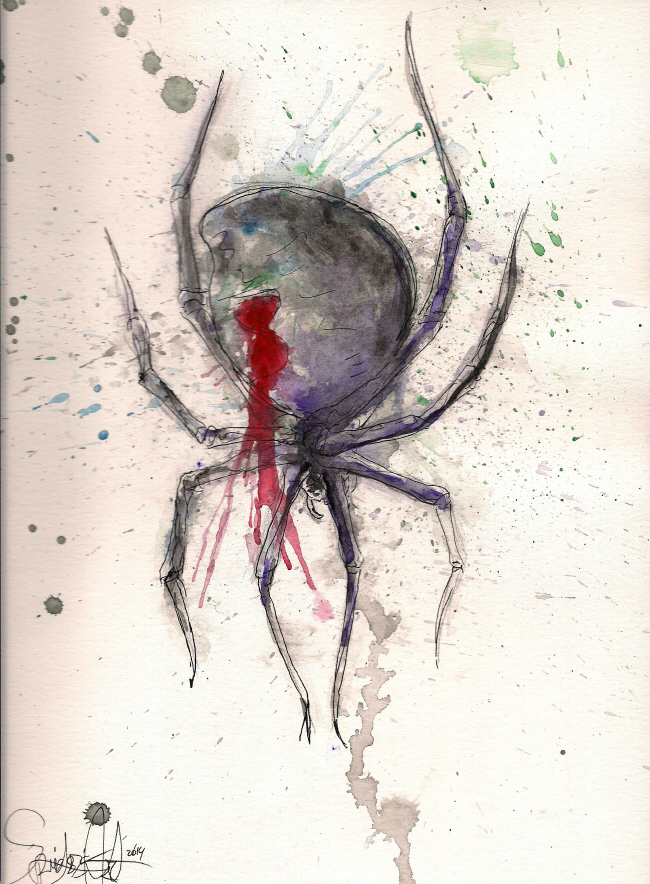 650x884 Black Widow Spider Art Group With Items