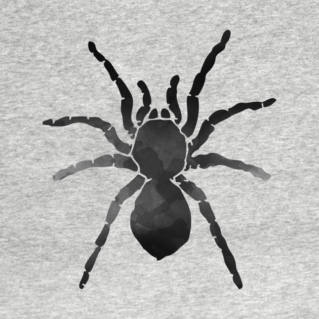 630x630 Watercolor Spider