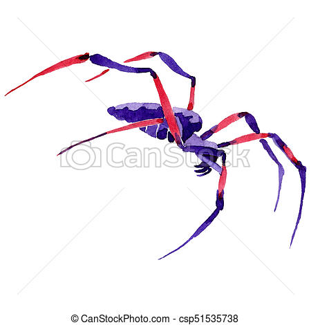 450x470 Exotic Spider Wild Insect In A Watercolor Style Isolated. Full