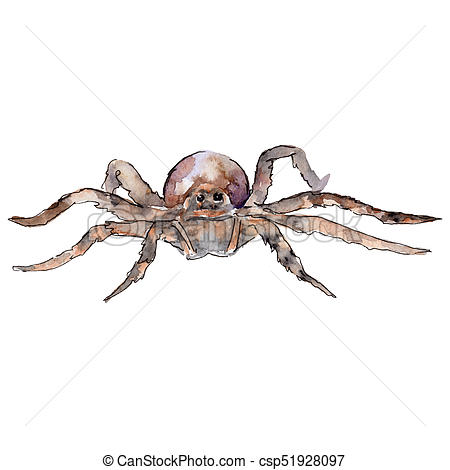 450x470 Exotic Tarantula Wild Insect In A Watercolor Style Isolated. Full