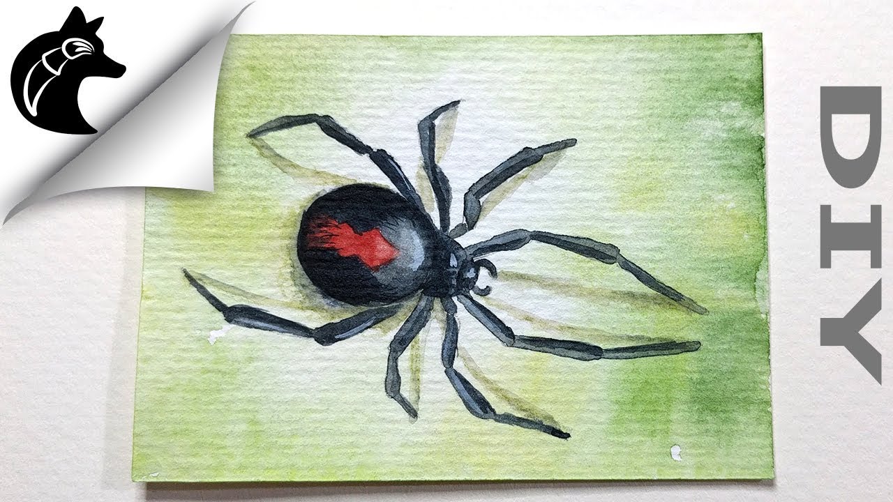 1280x720 How To Paint A Spider Watercolor Tutorial Trading Card