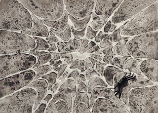 320x229 Sparkly Spider Web