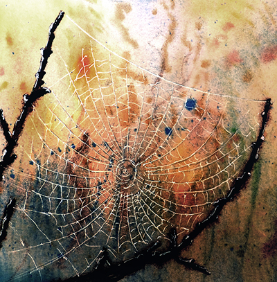 400x407 Spiders Web