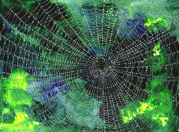 600x444 Dew Drops On The Spider Web A Watercolor Masterpiece