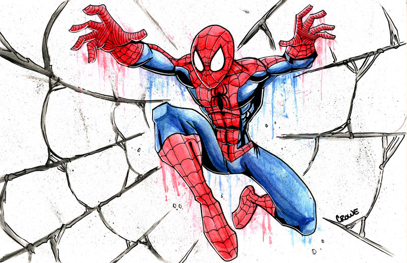 800x518 Watercolor Spiderman By Stevencrowe