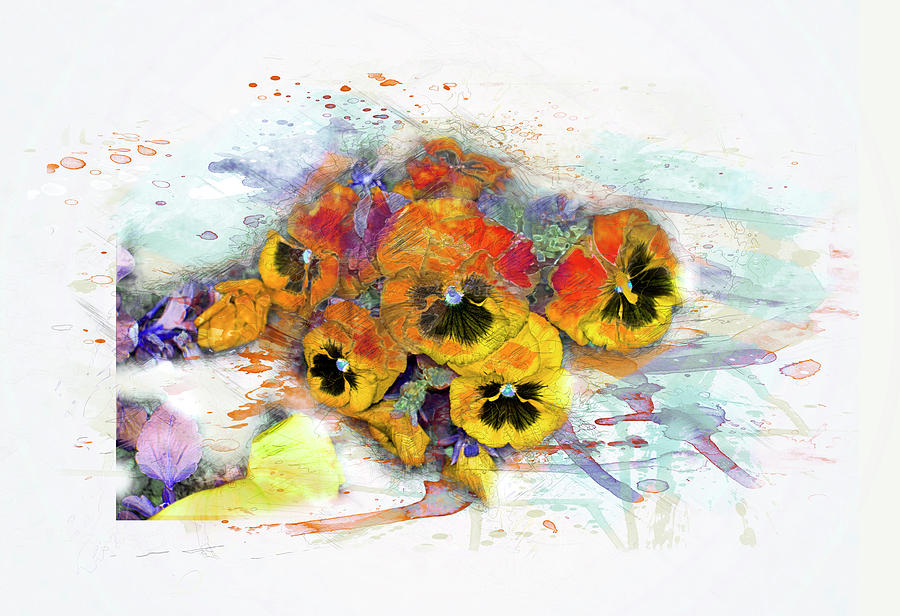 900x616 Pansy Flowers, Watercolor, Splash Digital Art By Gabriele Huller