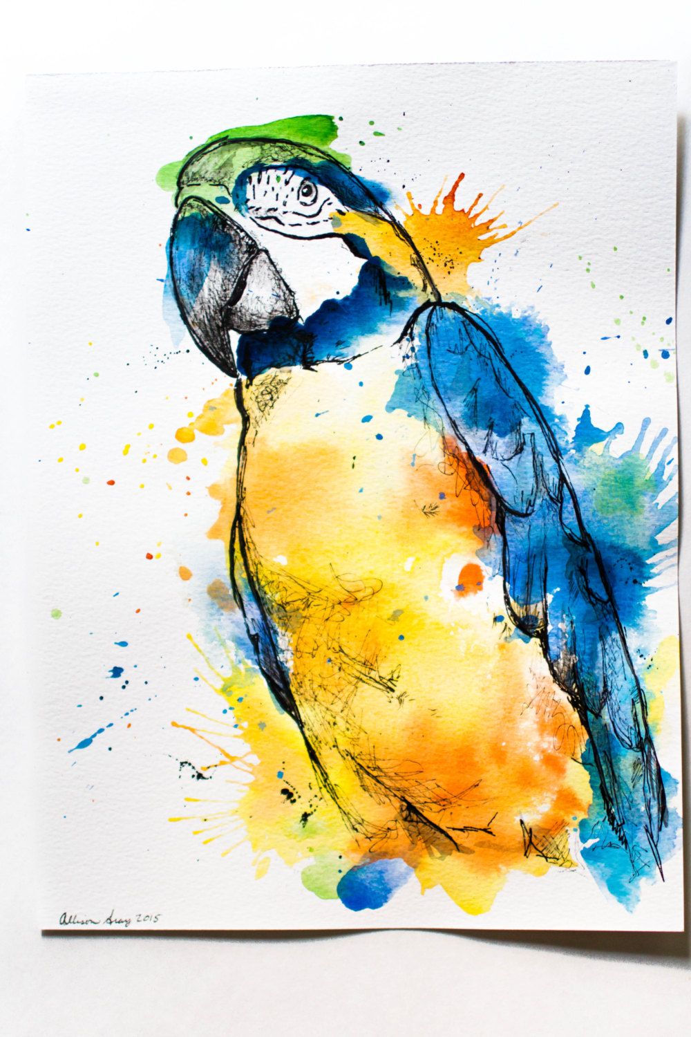 1000x1500 Watercolor Macaw