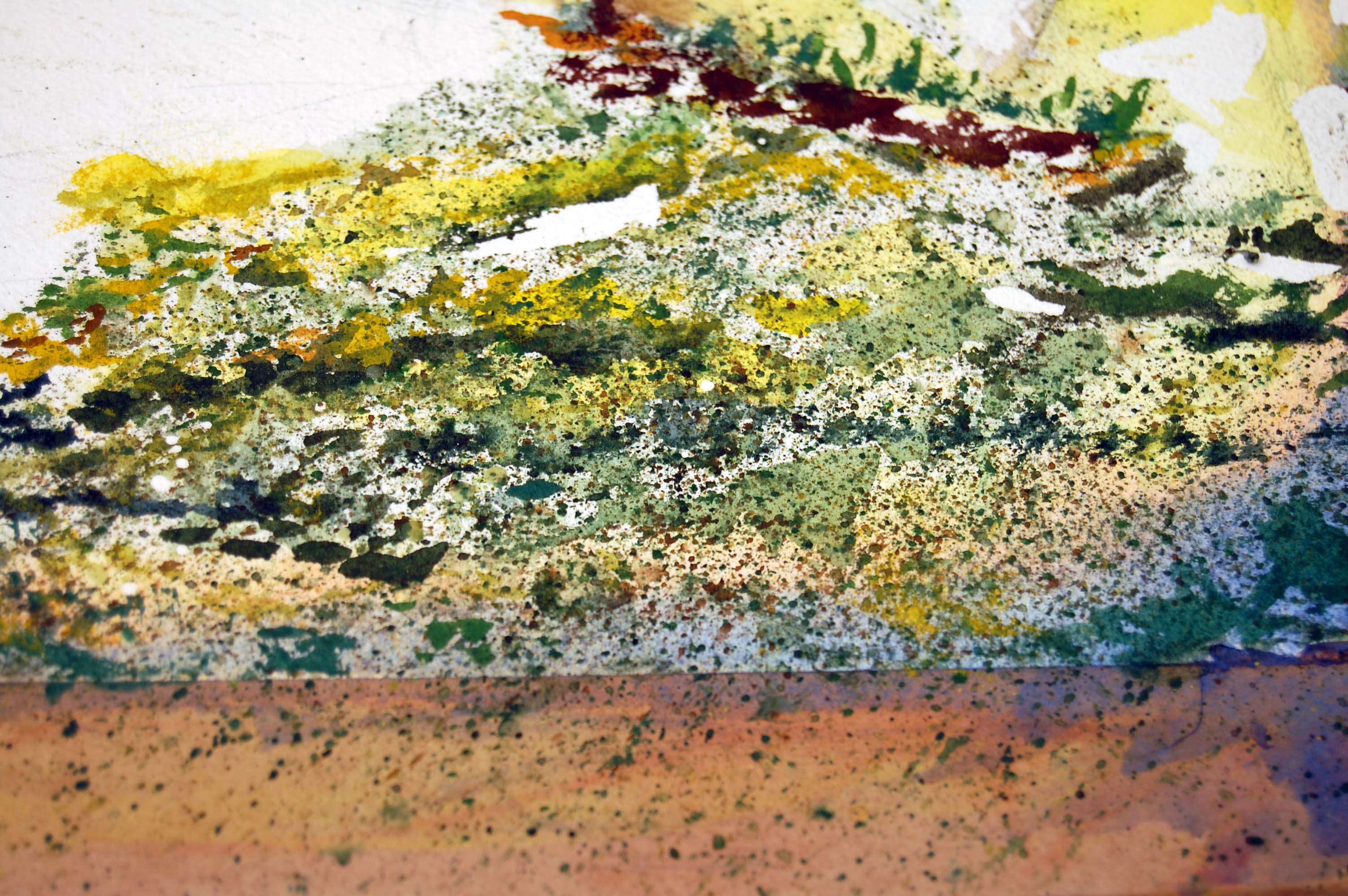 3008x2000 Watercolor Technique Books