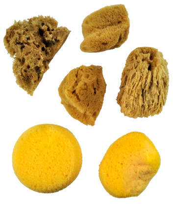 355x433 Royal Amp Langnickel