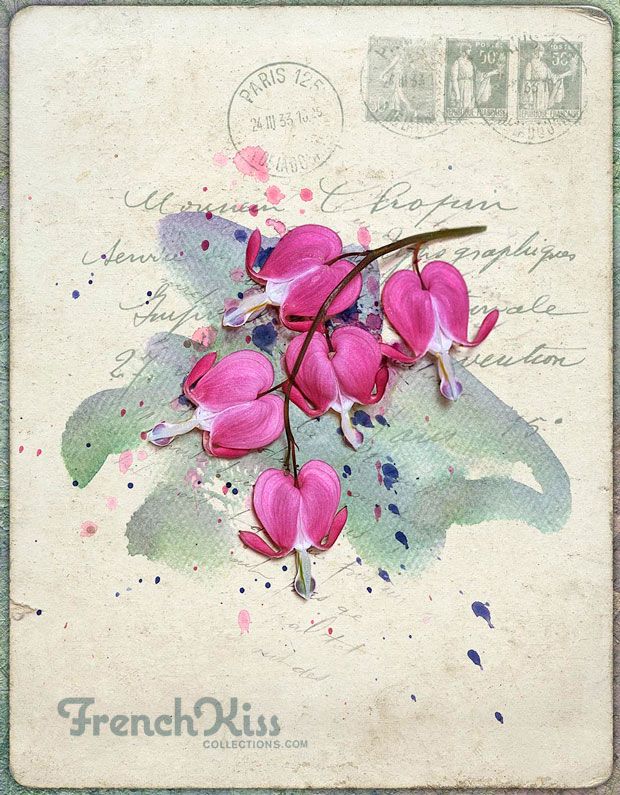 620x795 Watercolor Spot. When To Use Watercolor Spot Textures Or Brushes