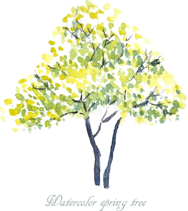 714x800 Spring Tree. Spring Background. Watercolor Illustration. Stock