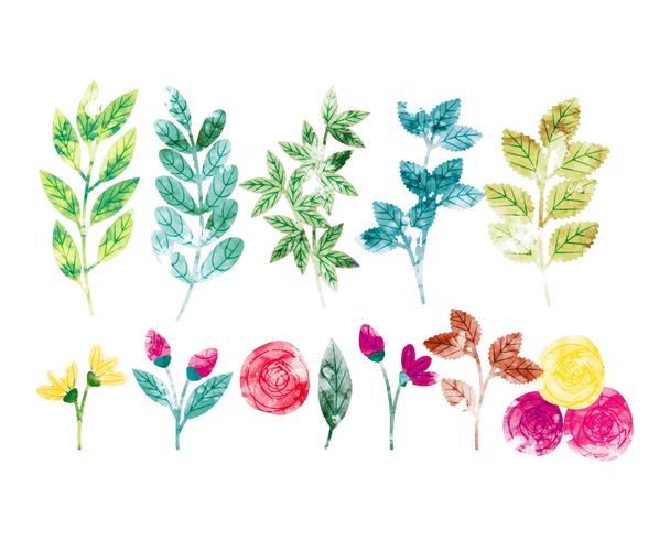 608x490 Vector Watercolor Spring Branches And Flowers