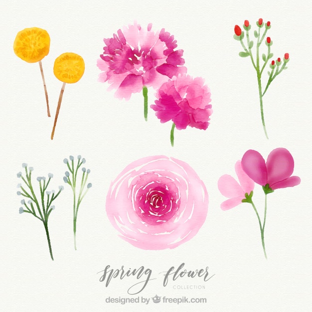 626x626 Creative Watercolor Spring Flower Set Stock Images