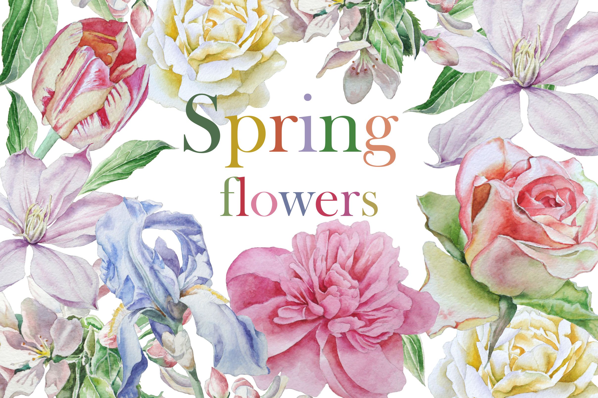 2417x1609 Spring Flowers. Watercolor. By Rednex On @creativemarket Klipart