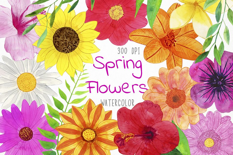 945x630 Watercolor Spring Flowers Clipart, Flowers Clipart