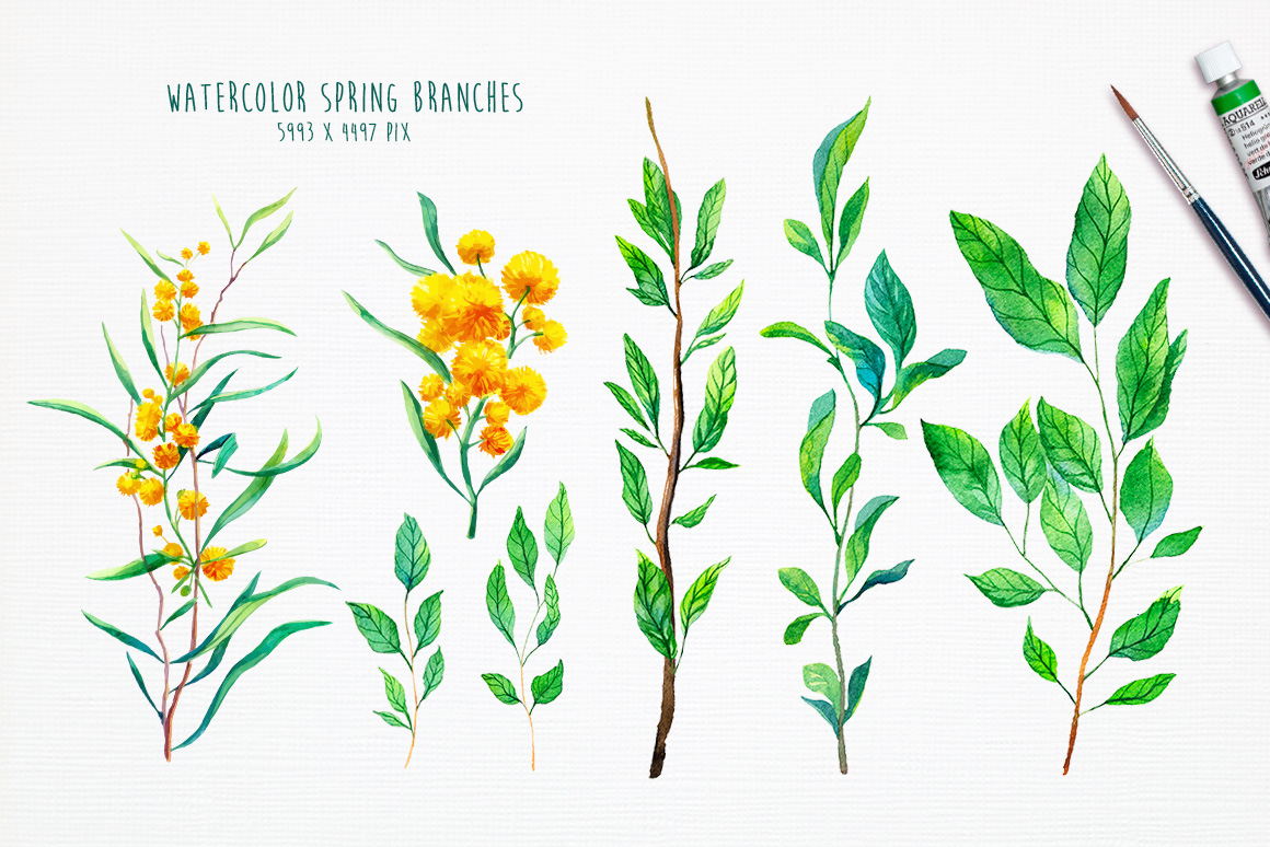 1160x774 Watercolor Spring Flowers. On Behance