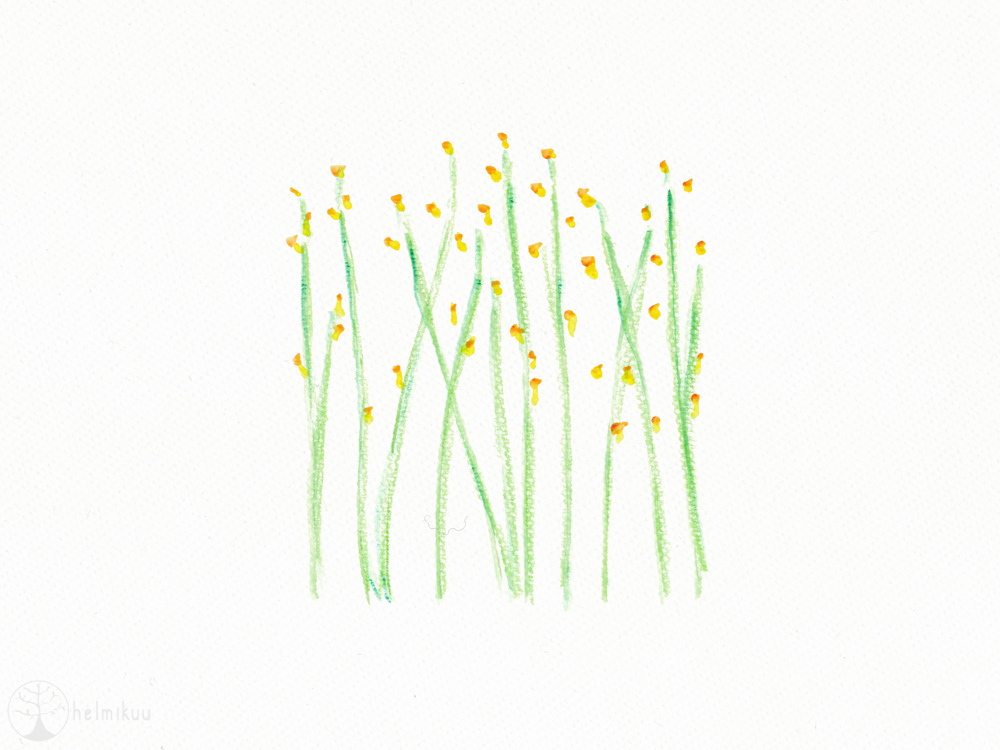 1000x750 Spring Flowers (Watercolor) Blogged
