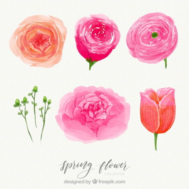 626x626 Elegant Watercolor Spring Flower Set Stock Images