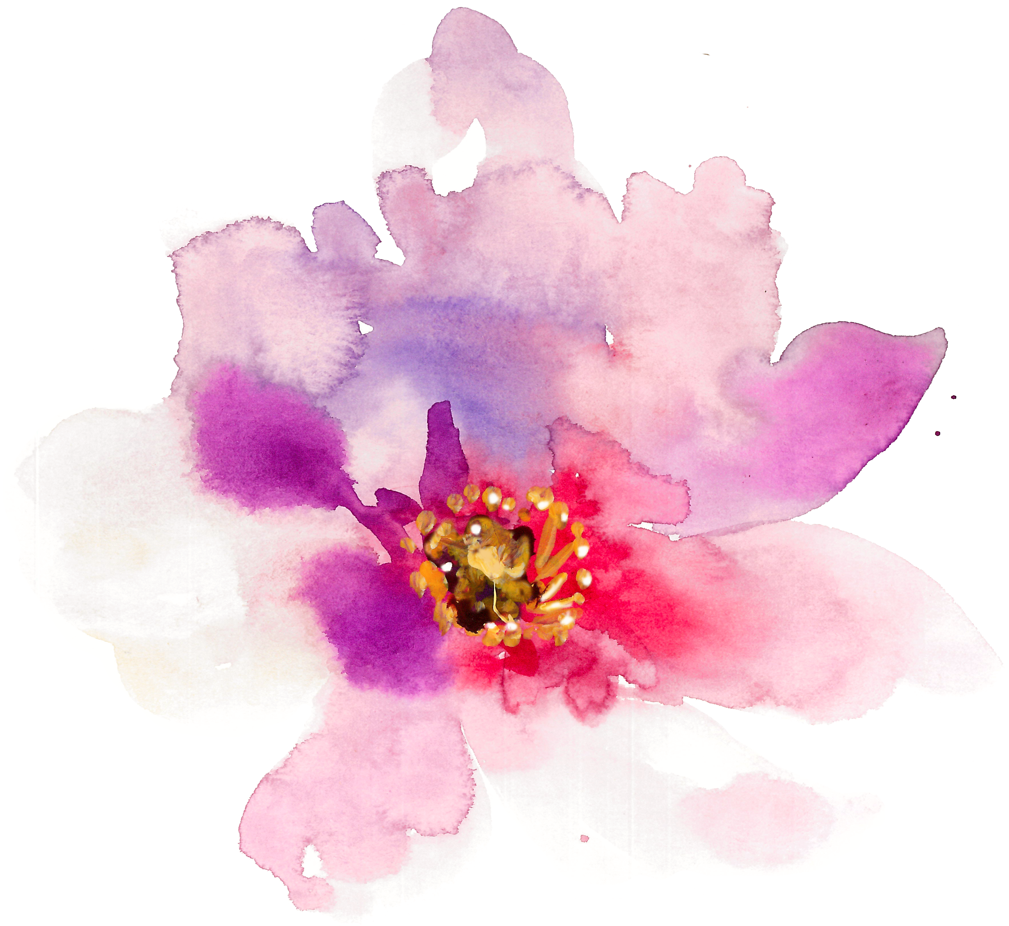 3534x3246 Floral Design Watercolor Painting