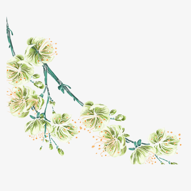 650x651 Hand Painted Watercolor Spring Flowers, Watercolor Clipart, Spring