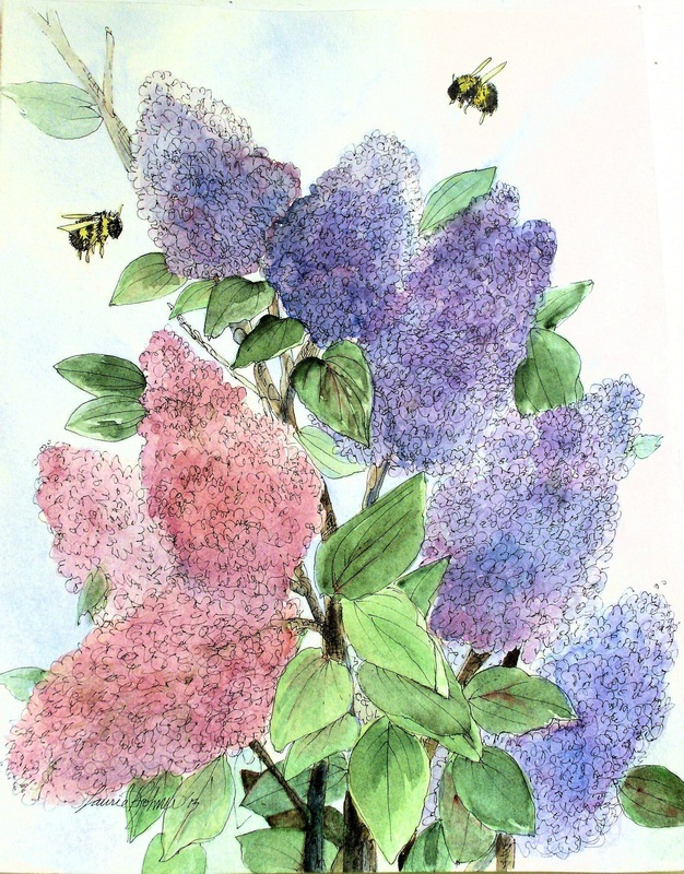 626x800 Botanical Art Floral Watercolor Painting Of Lilacs In Spring