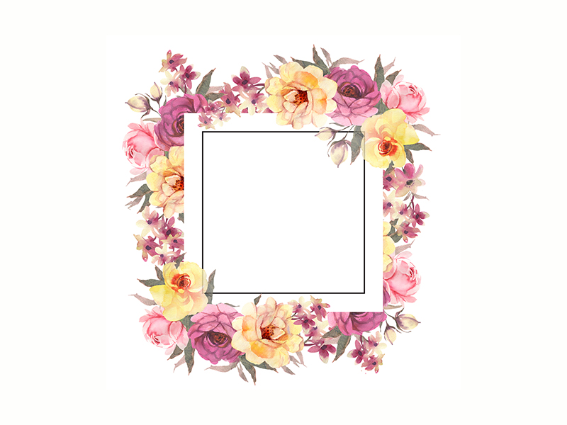800x600 Roses Watercolor Square Template By Anelia Madjarova