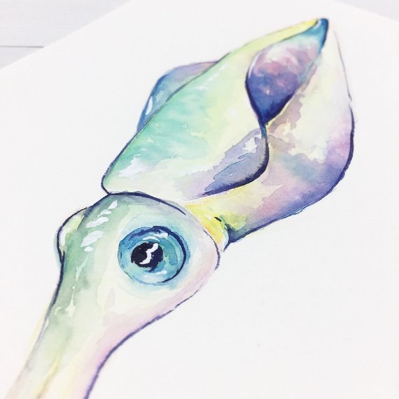 570x570 Original Animal Artists Collective Colorful Squid Etsy