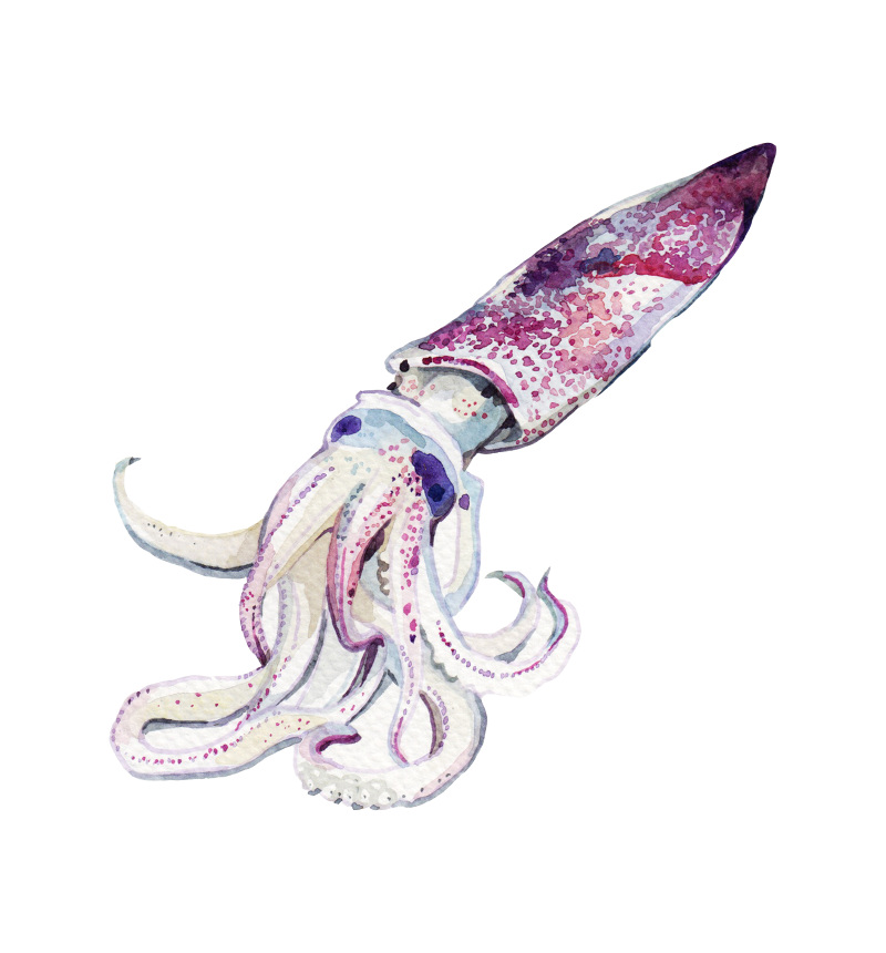 800x860 Purple Ingredients