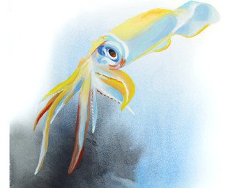 340x270 Squid Watercolor Etsy