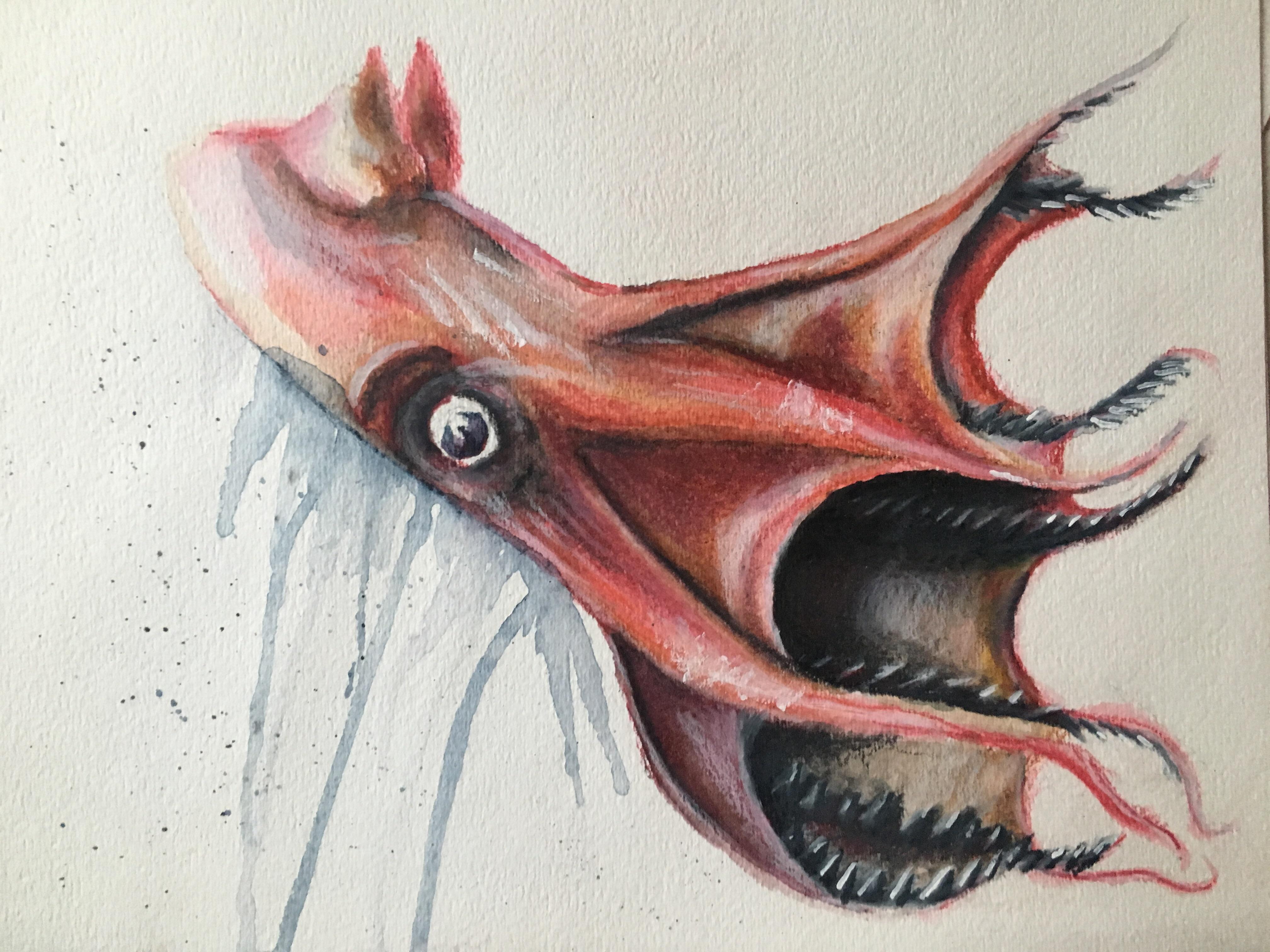 4032x3024 Vampire Squid Of Hell, Mix Media On 9x12 Watercolor Paper By