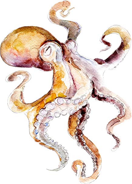 435x606 Pretty Watercolor Squid Octopus Art Vinyl Sticker (4
