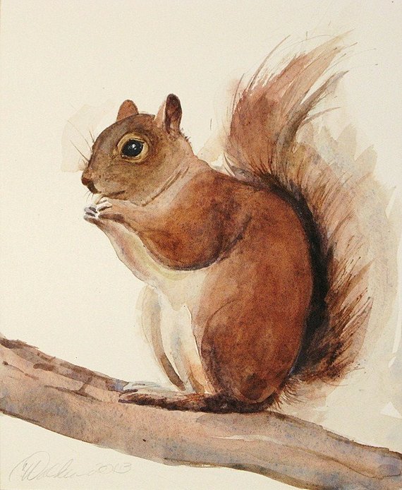 570x694 Red Squirrel Print Nature Art Watercolors Archival Print Etsy